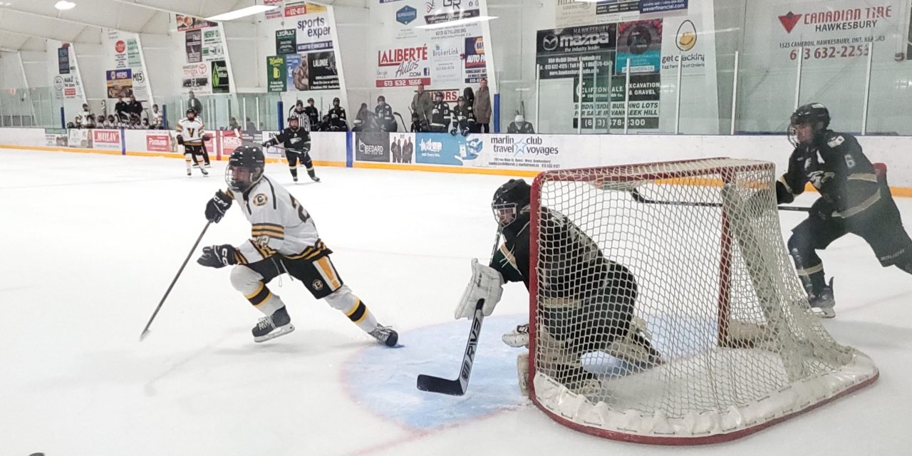 Cougars split shutouts on NCJHL opening weekend