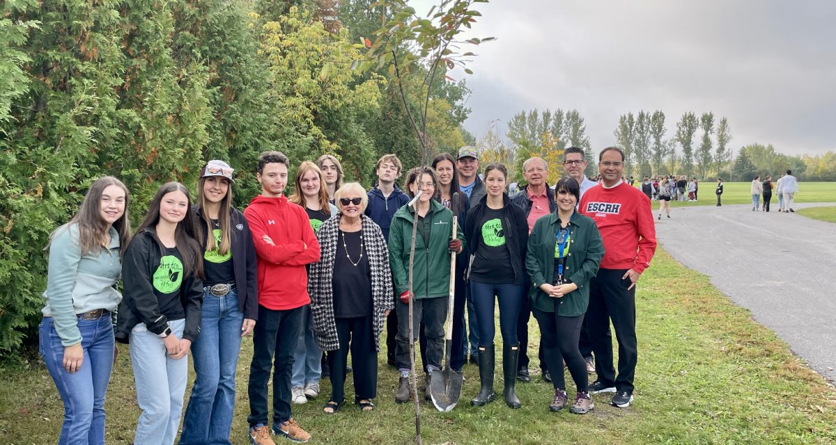 National Tree and Forest Week commemorated with local tree-planting