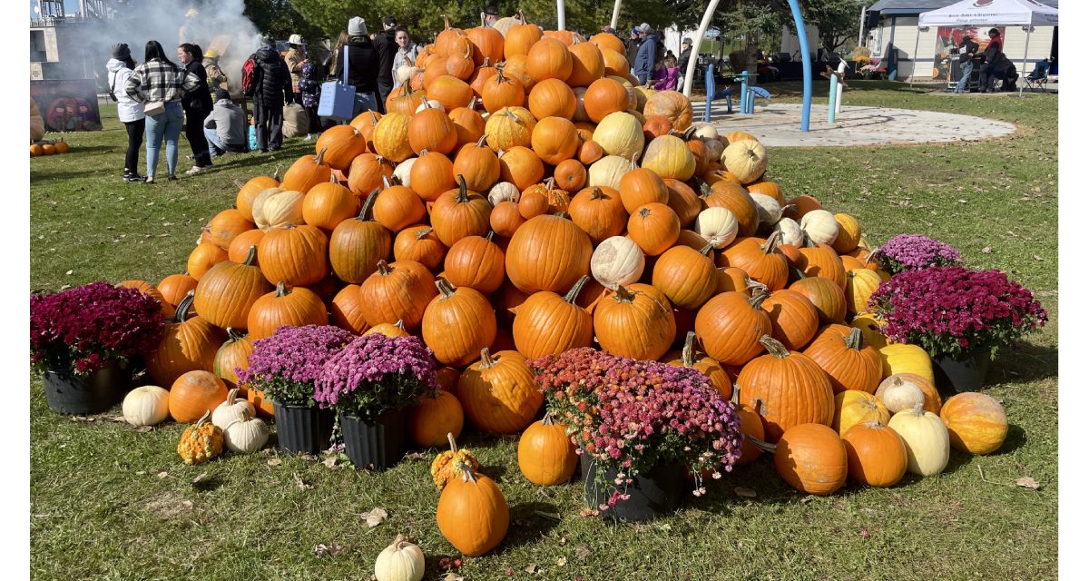 Saint-André-d’Argenteuil Pumpkin Festival returning in October; producers hoping to break records