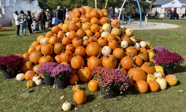 Saint-André-d’Argenteuil Pumpkin Festival returning in October; producers hoping to break records