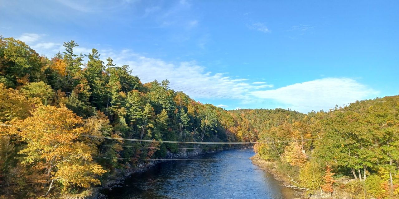 Grenville-sur-la-Rouge urges Québec government to protect public lands