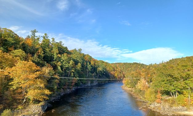 Grenville-sur-la-Rouge urges Québec government to protect public lands