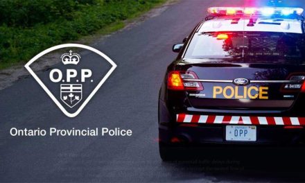 Motorcyclist dies after South Glengarry Collision