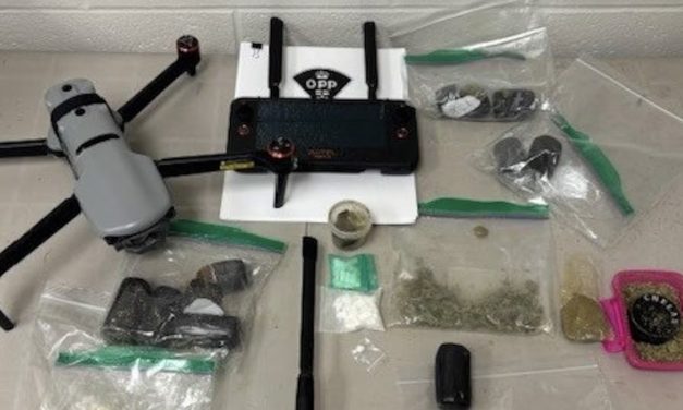 RIDE check leads to cannabis charges in Hawkesbury