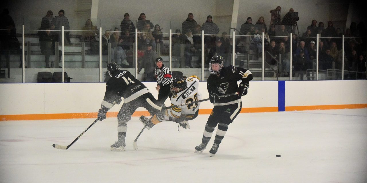 A win and a loss for the Cougars during the weekend