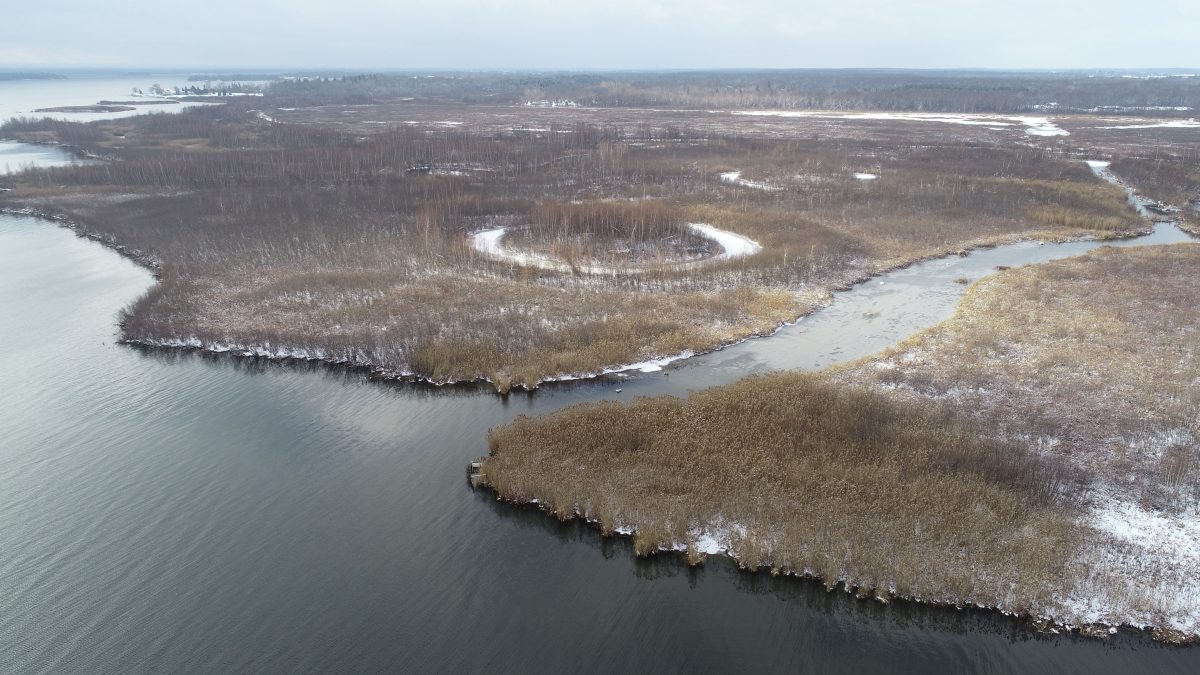 Province looking for feedback on plan to consolidate Conservation Authorities