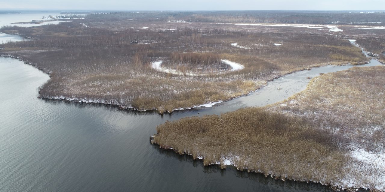 Province looking for feedback on plan to consolidate Conservation Authorities