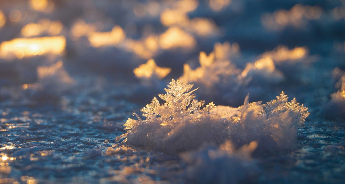 Winds and snow blow across region