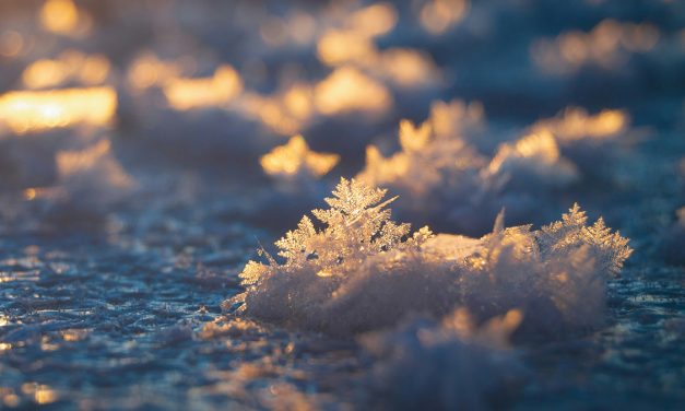 Winds and snow blow across region