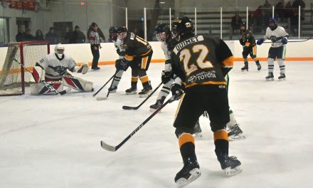 Cougars take 2-0 series lead over Metcalfe