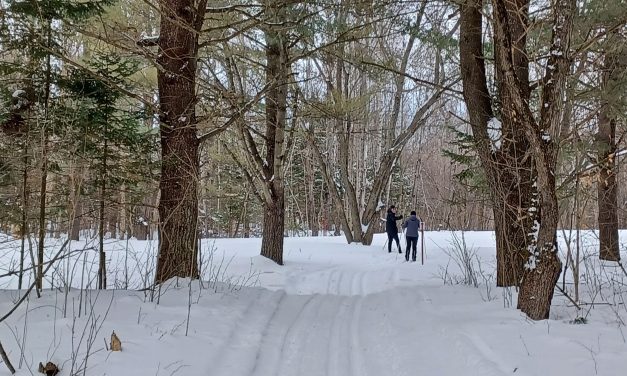 Ski time on local cross-country trails