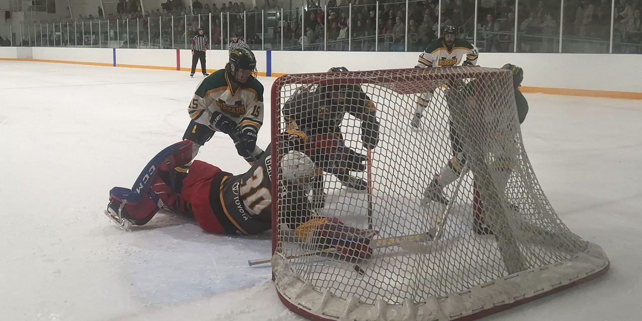 Cougars one win away from NCJHL finals