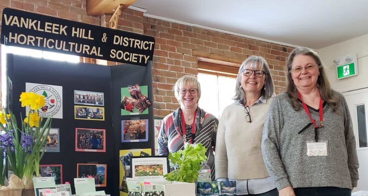 Seed Swap at Creating Centre