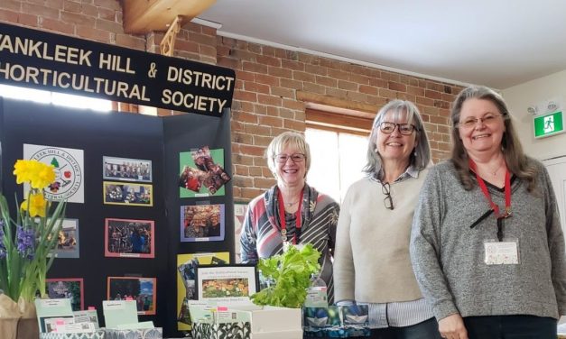 Seed Swap at Creating Centre