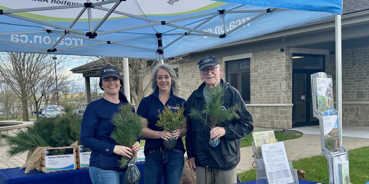 RRCA and SNC offer 11,000 free trees to residents