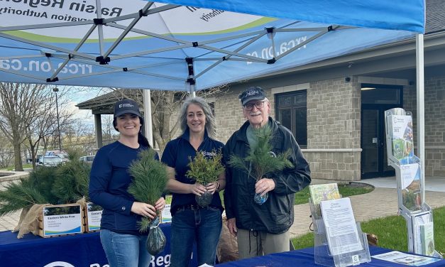 RRCA and SNC offer 11,000 free trees to residents