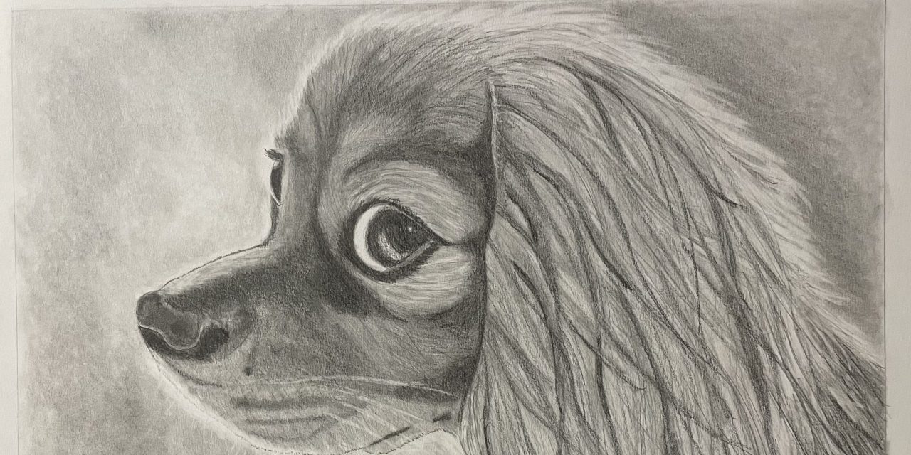 Students shine in Art & Dream Studio exhibition at Arbor Gallery