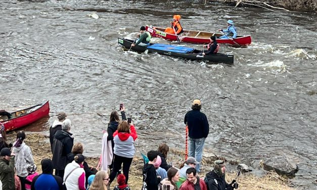 Record participation in 2025 Raisin River Canoe Race