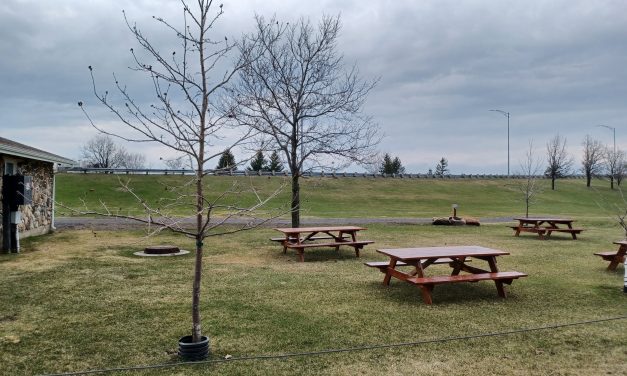 Food truck festival suggested for Hawkesbury