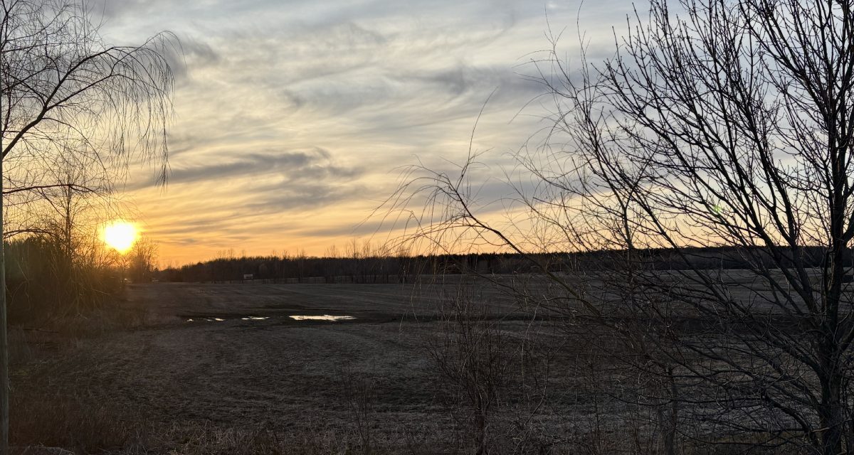 Public meeting for proposed Chute-à-Blondeau Agrivoltaics solar power project draws in curious residents