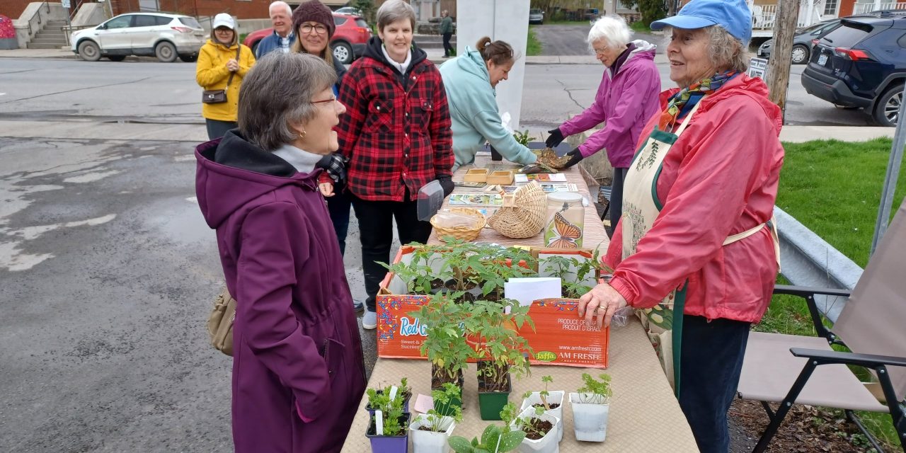 Nature sale in Vankleek Hill
