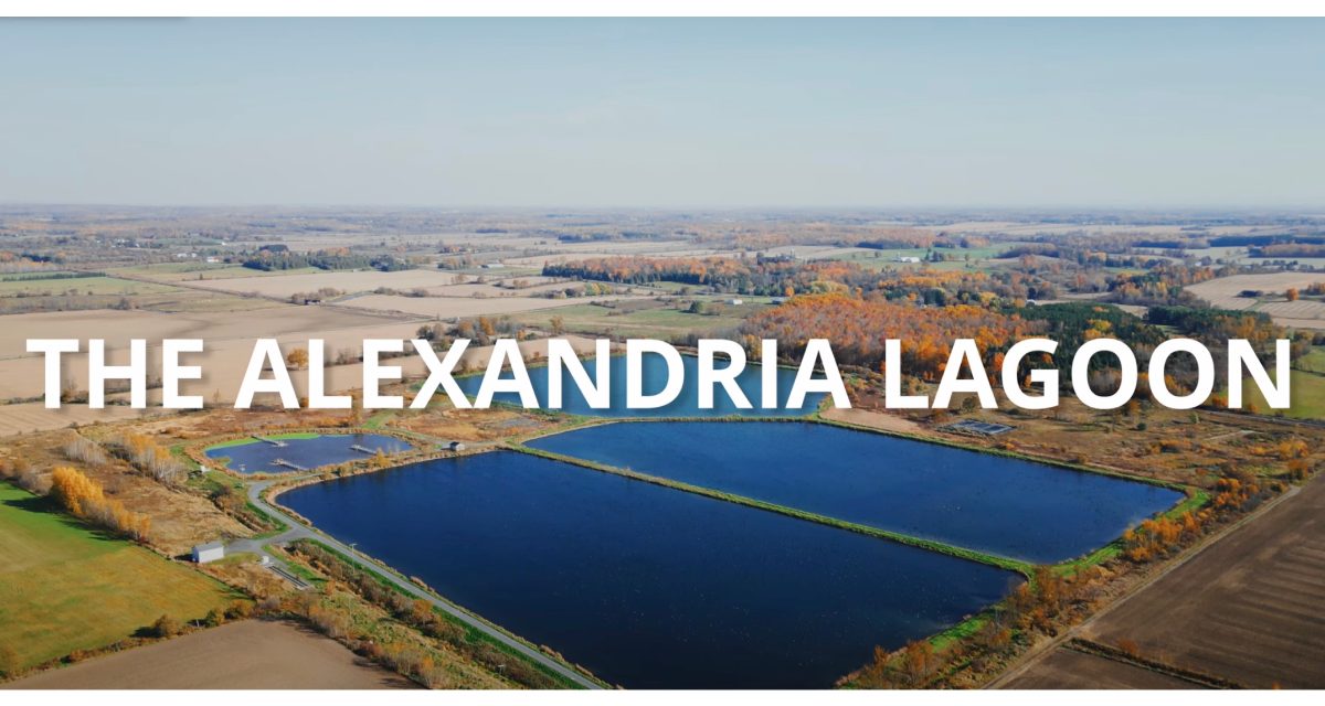 Alexandria Lagoon Expansion moves forward with $18.7 million contract