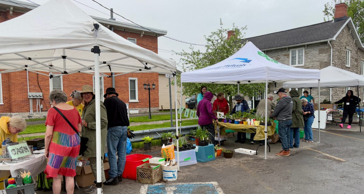 VDHS hosts rainy day plant sale in Vankleek Hill