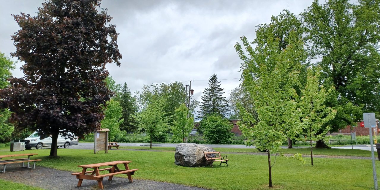 Tree will be planted in Maxville in memory of Amanda Maloney