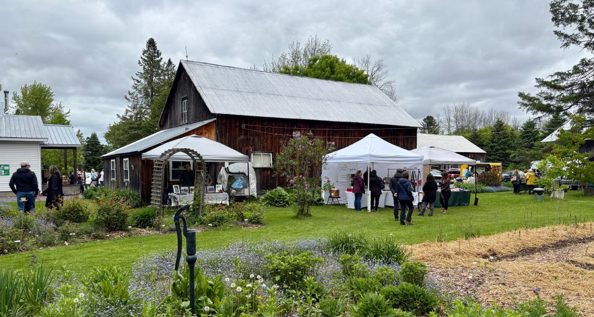 7th Annual Garden Party draws visitors to Garden Path near Vankleek Hill