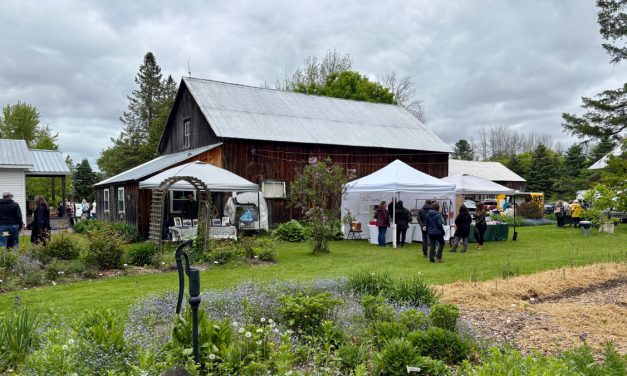 7th Annual Garden Party draws visitors to Garden Path near Vankleek Hill