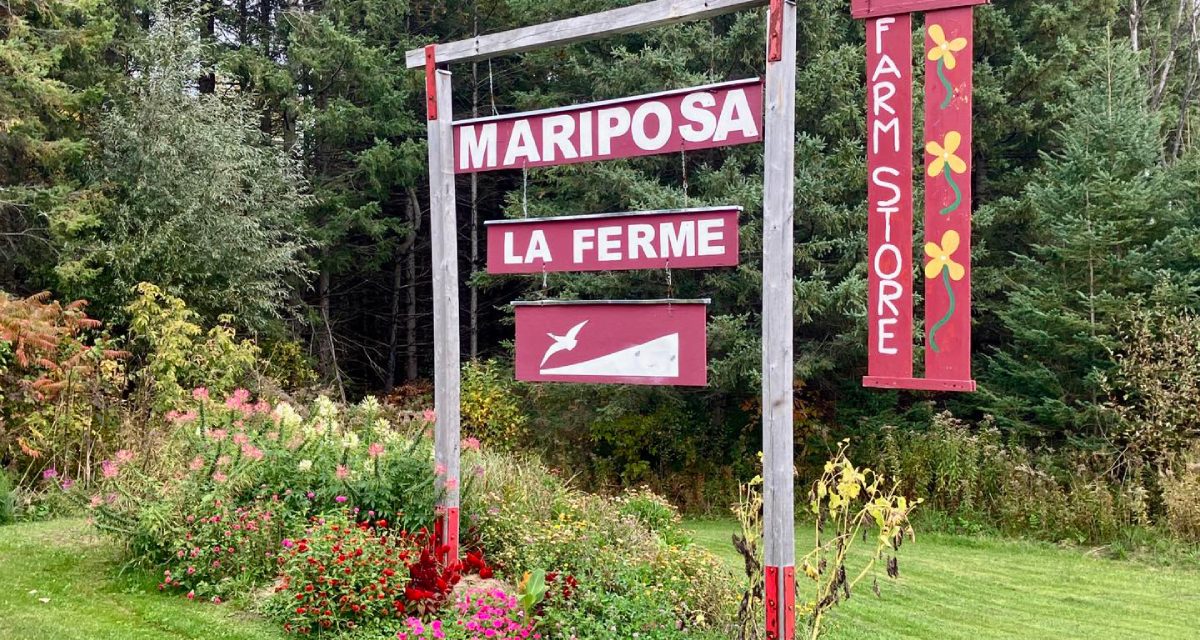 Local and sustainable farming practices at Mariposa
