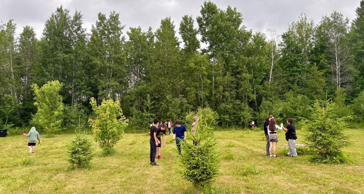 PCPS students build benches, birdhouses, and memories at McAlpine Forever Forest
