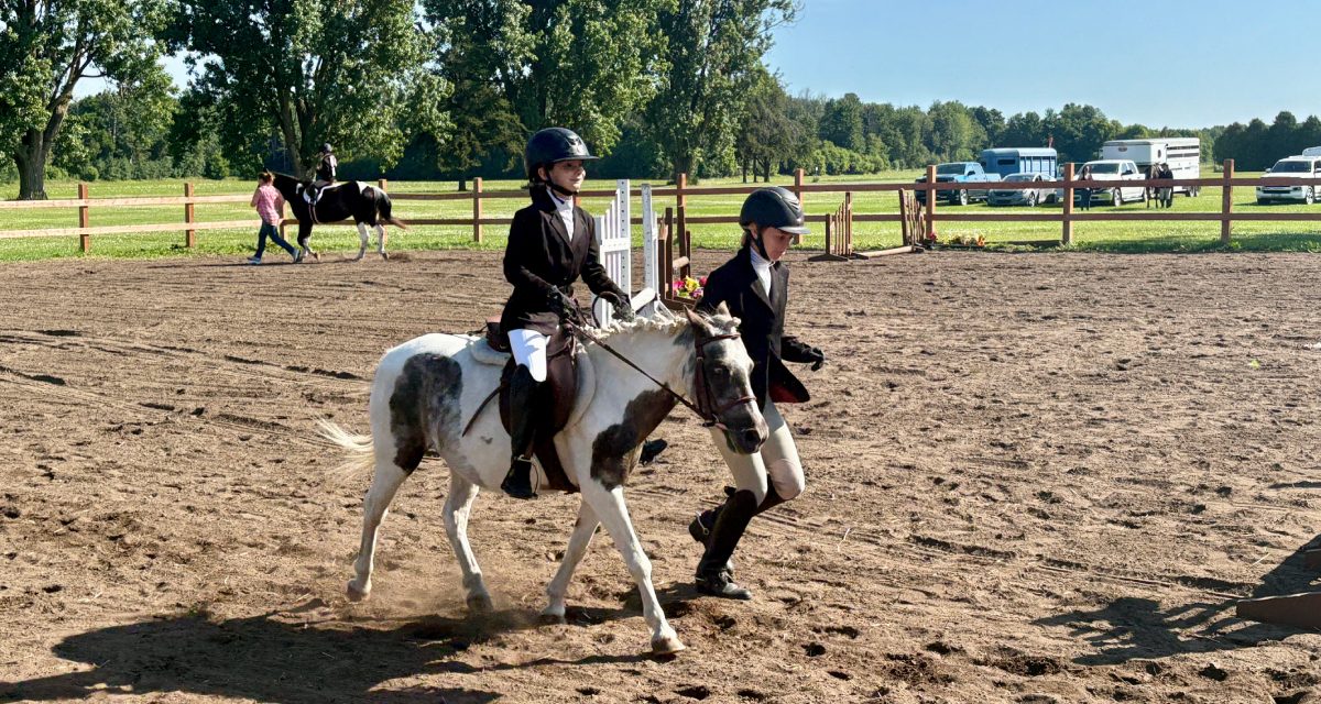 Maxville Fair brings music, entertainment, and farmyard charm