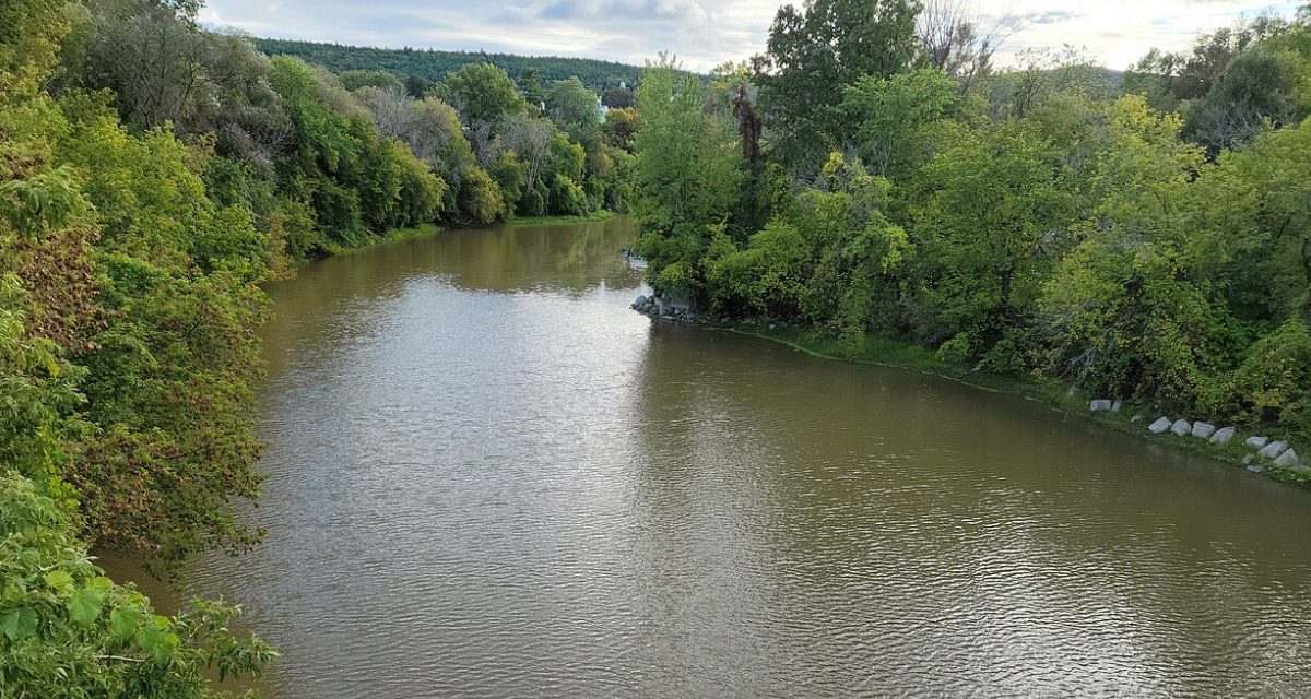 Suspected illegal dumping in Rigaud River