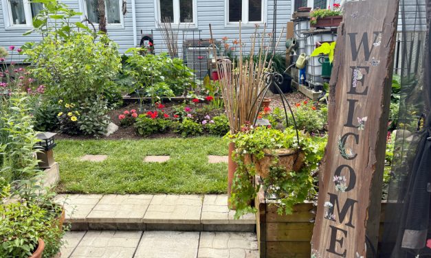 Vankleek Hill’s Town & Country Garden Tour celebrates rural life in full bloom