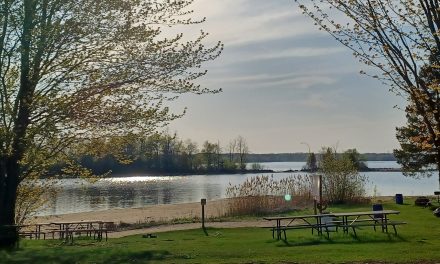 Parks not likely in path of Alto