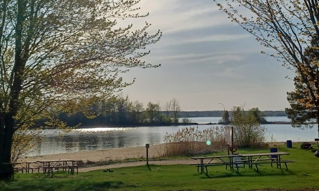 Enjoy free day use at Ontario Parks on Friday, July 18