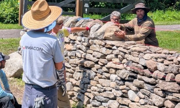 Stone wall workshop a hive of activity near Vankleek Hill