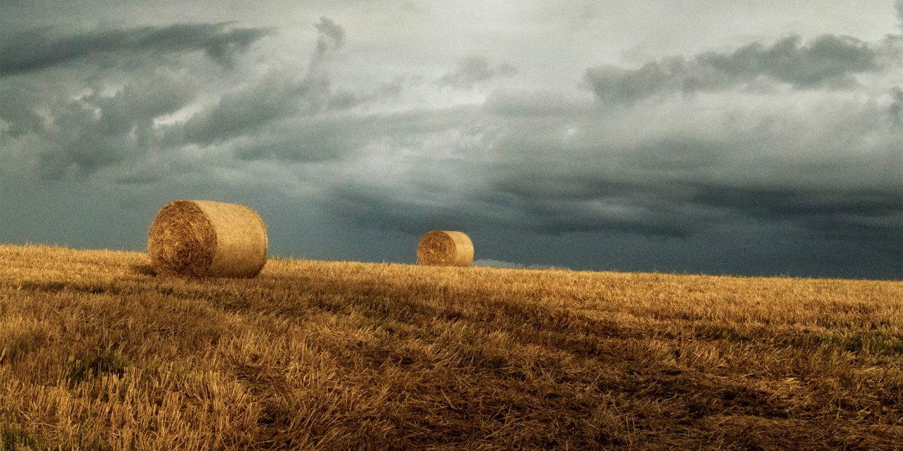 “Art on the Land” celebrates region’s agricultural heritage