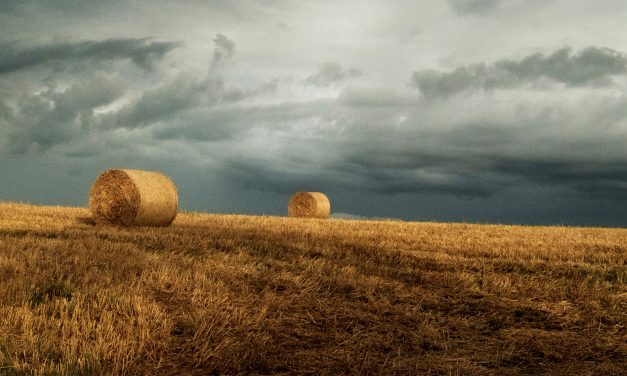 “Art on the Land” celebrates region’s agricultural heritage