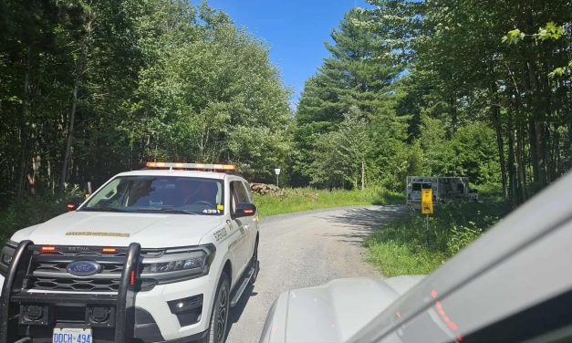 Rescue in Larose Forest