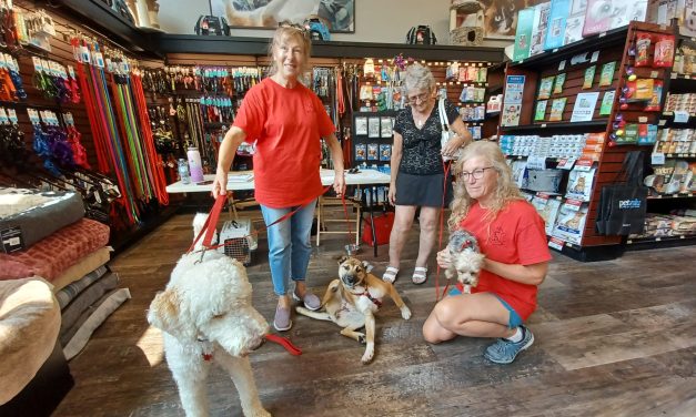 Meet and Greet for Animatch in Hawkesbury