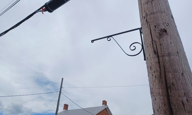 Plants off the hook in Vankleek Hill