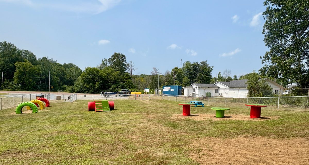 New park for pooches opens in Brownsburg-Chatham