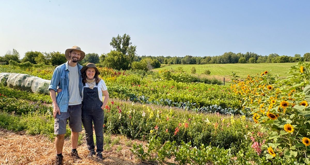 Every drop counts: Ontario and Québec producers confront water challenges