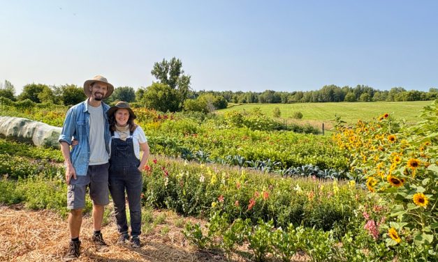 Every drop counts: Ontario and Québec producers confront water challenges