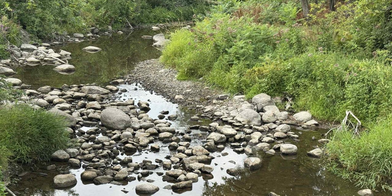 Water levels low across region, restrictions in effect for three municipalities