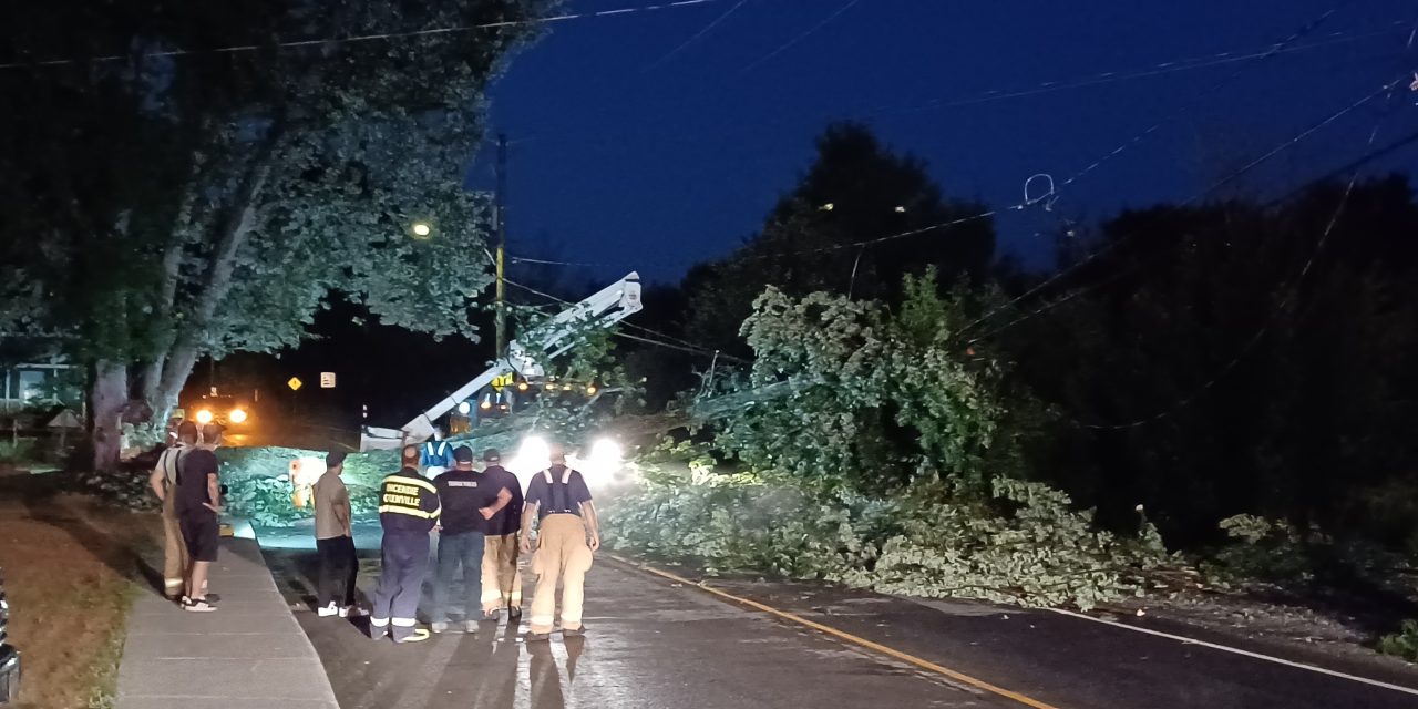Fallen tree blocks Grenville street