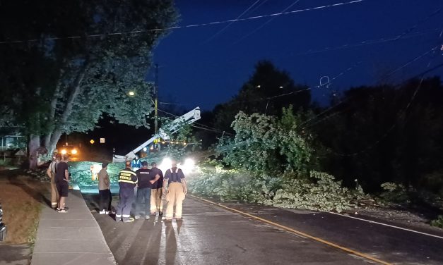 Fallen tree blocks Grenville street