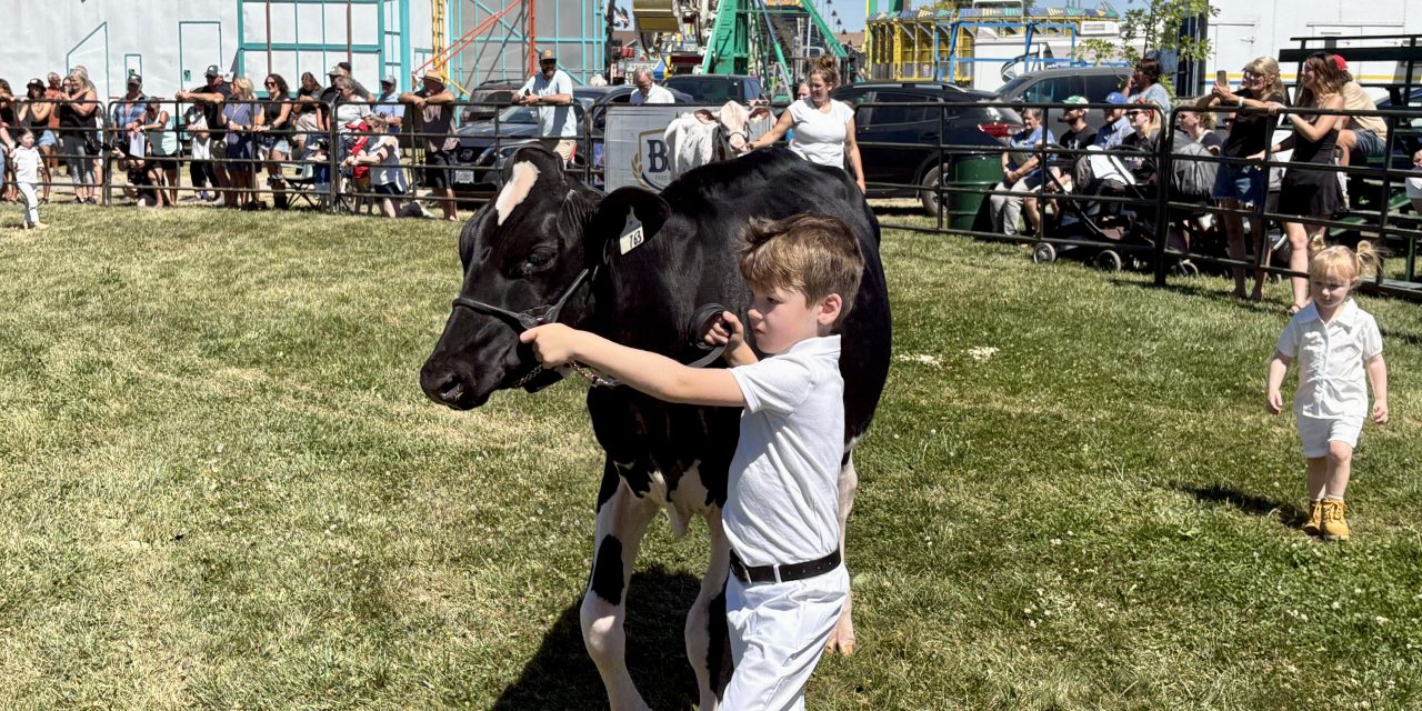 Here comes the 2026 Vankleek Hill Fair